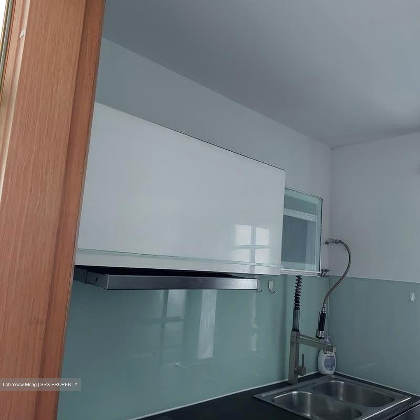 Iridium (D11), Apartment #555358041